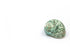 green turbo shell